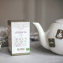 BIO Ra Hygge Focus Fusion zelený čaj s Lion´s mane 16ks