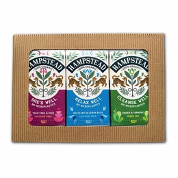 Hampstead Tea BIO dárkový balíček výběr wellness čajů 3 x 20ks. Relaxační dárek.