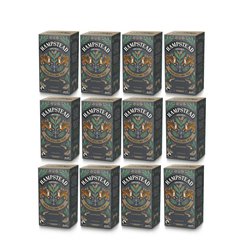 Hampstead Tea London BIO černý čaj Darjeeling 12x20ks. Výhodné balení.