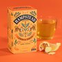 Hampstead Tea BIO citrónový čaj se zázvorem 20ks. Vhodný při nachlazení a chřipce.