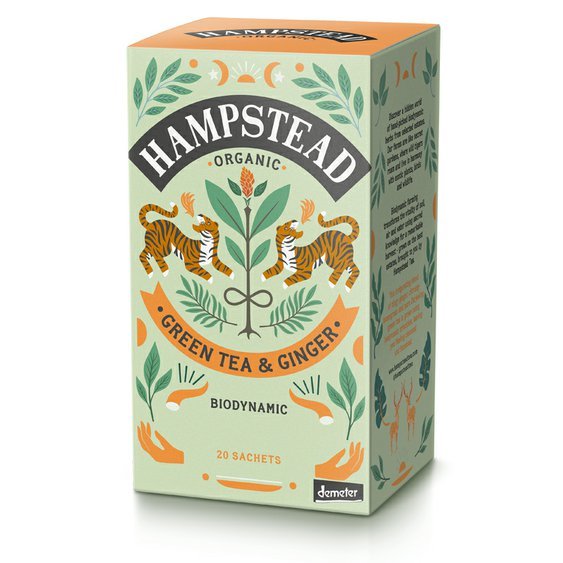 Hampstead Tea BIO zelený čaj se zázvorem a citronovou trávou 20ks