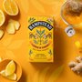 Hampstead Tea BIO citronový čaj se zázvorem 20ks bylinný čaj bez kofeinu, vhodný při nachlazení, podporující imunitní systém.